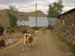 Karaca Gezisi